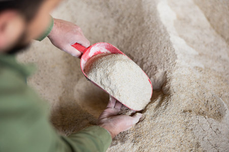 Corn flour cattle feed in farm storage