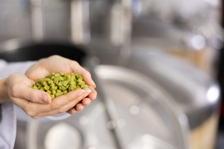Recycled hops in female hands close-up on the background of brewery