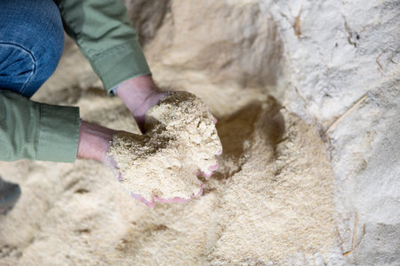 Maize flour cattle feed in farmers hands