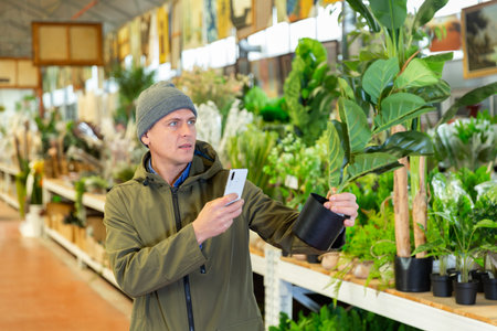 Man picking pot with replica plant in shop and photographing it