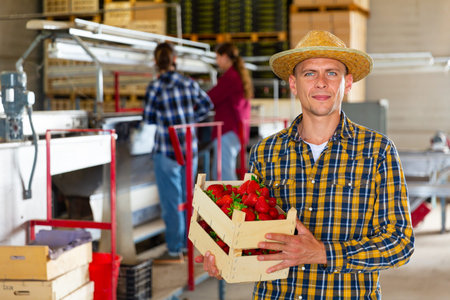 Young male farmer stands with a crate of ripe strawberries in a warehouse