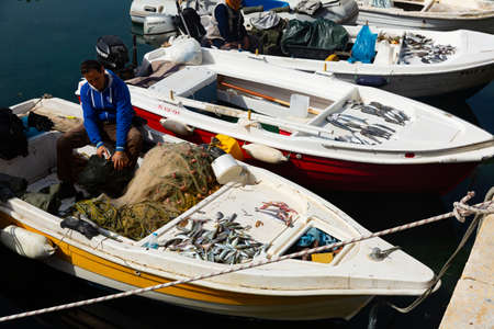 Freshly caught fish on boat at fish marketのeditorial素材