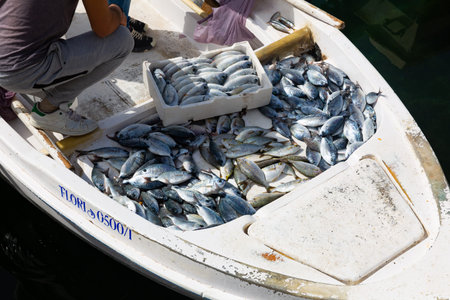 Freshly caught fish on fishing boat at market in Sarande city harbor