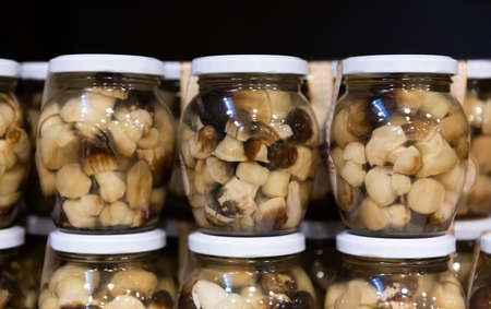 Pickled fredolics mushrooms in glass jars on counterの写真素材
