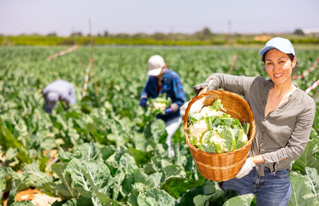 Portrait of asian woman horticulturist with basket of cauliflowersの写真素材