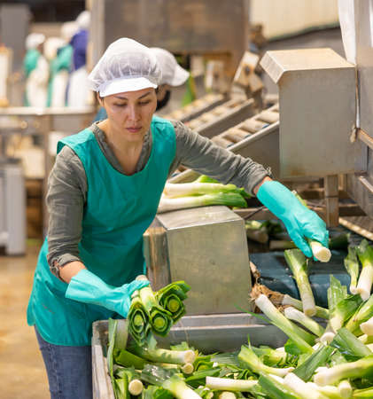Workwoman washing green onions on sorting line in vegetable processing factoryの写真素材