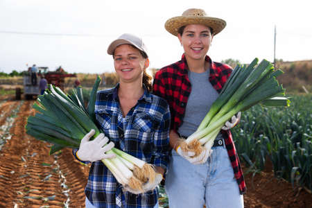 Portrait of two happy women with leek harvest in their hands in farmer fieldの写真素材