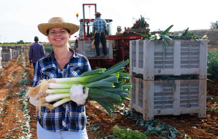 Portrait of positive girl farmer with crate of fresh leekの写真素材