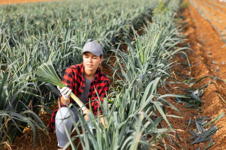 Portrait of satisfied female farmer with leek in her hands while harvesting in fieldの写真素材
