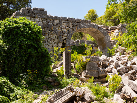 Heritage ruins sarnic in ancient city of Termessos in Taurus Mountains