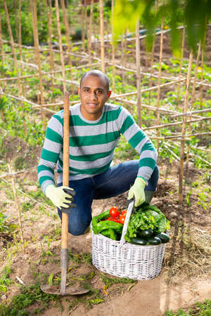 Hispanic gardener proud of harvest of vegetablesの写真素材
