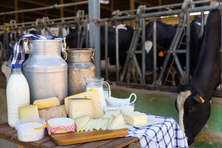 Various dairy products on table against background of cows in barnの写真素材