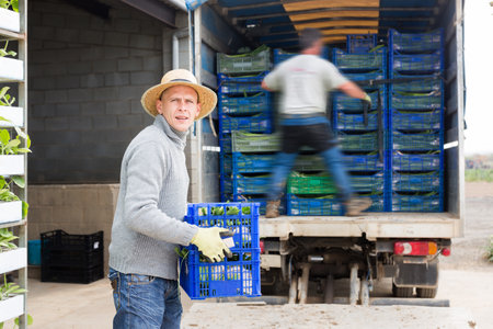Man loading harvested green onion in truckの写真素材