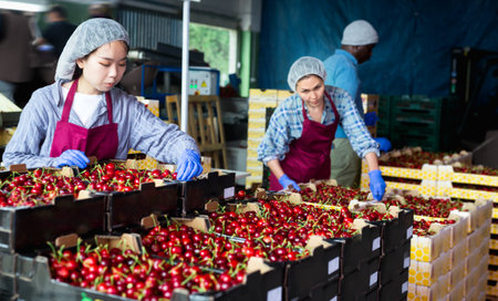 People with crates in cherry warehouseの写真素材