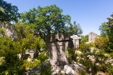 View of the sarcophagi of the Northeastern Necropolis in the city of Termessosの写真素材
