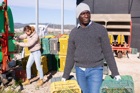 African american farmer carrying empty plastic boxes in the backyard of farmの写真素材