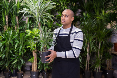 Portrait of male florist selling potted flowers in shop