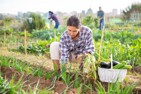 Successful female gardener with green onion on fieldの写真素材