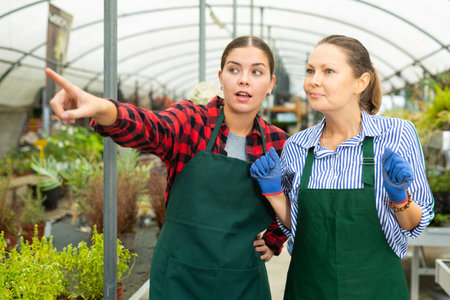 Two positive female botanists discussing among themselves in greenhouse, point gestureの写真素材