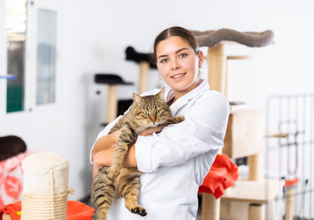 Female volunteer standing in animals shelter with gray tabby tomcatの写真素材