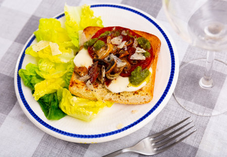 Baked sandwich with tomatoes, mushrooms, chorizo sausage and parmesanの写真素材