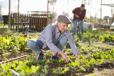 Mature woman using chopper to harvest weeds on field
