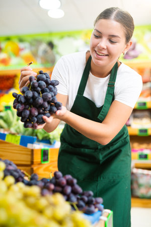 Woman seller in an apron puts ripe black grapes on counter for saleの写真素材