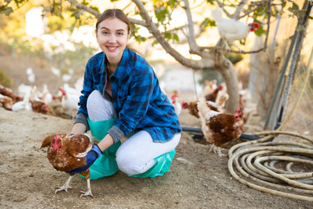 Smiling female farmer caring for domestic chickens in henyardの写真素材