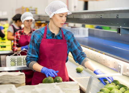 Diligent woman during packaging of fresh avocado at factory, workers on backgroundの写真素材