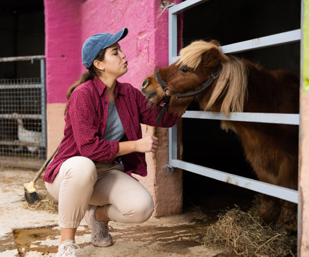 Young woman working with poniesの写真素材