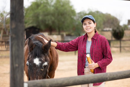 Woman taking care of horsesの写真素材
