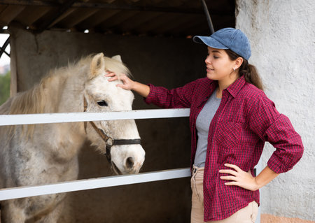 farm worker taking care of horsesの写真素材