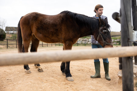 Owner man washing and brushing a horse in the backyard of farm