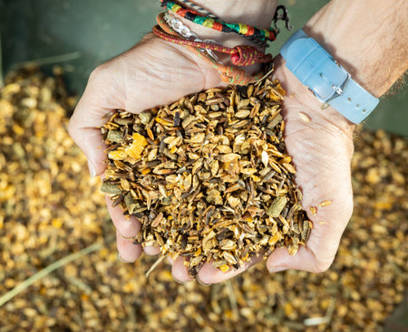 Compound feed for feeding horses in hands closeup