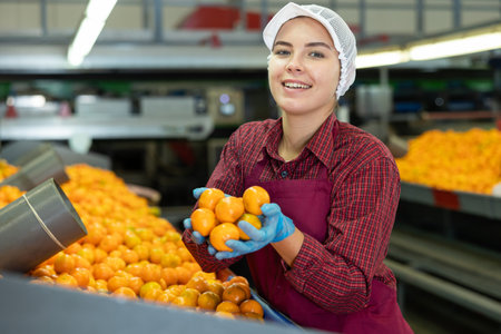 Cheerful girl sorting mandarins on conveyor line of factoryの写真素材