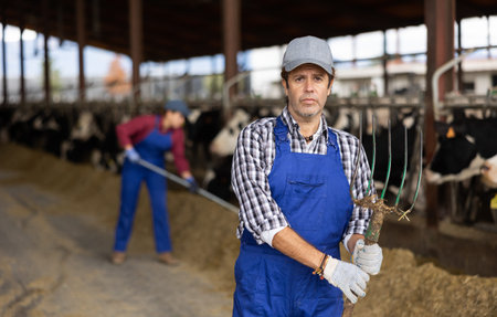 Confident middle-aged owner of farm standing with rake during hardworking in dairy cow farm