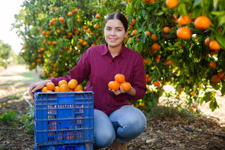 Portrait of a farmer girl picking tangerinesの写真素材