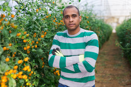 Latino man standing near tomatoes in glasshouse