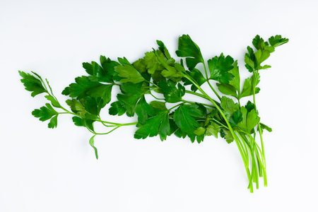 Sprig of raw green parsley over white backgroundの写真素材