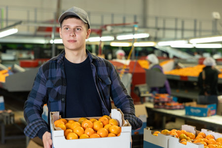 Guy fruit sorting factory worker stacking boxes with tangerinesの写真素材