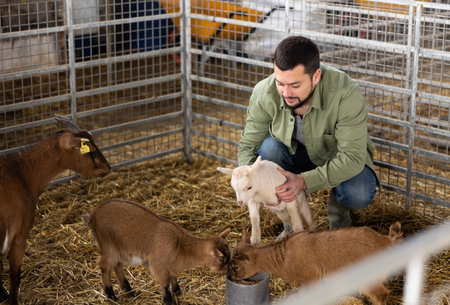 Young bearded farmer petting baby goats in stallの写真素材