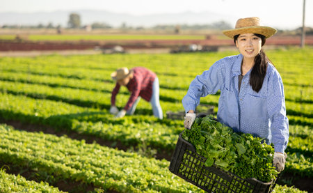 Cheerful young asian female worker holding box of green lettuce on fieldの写真素材