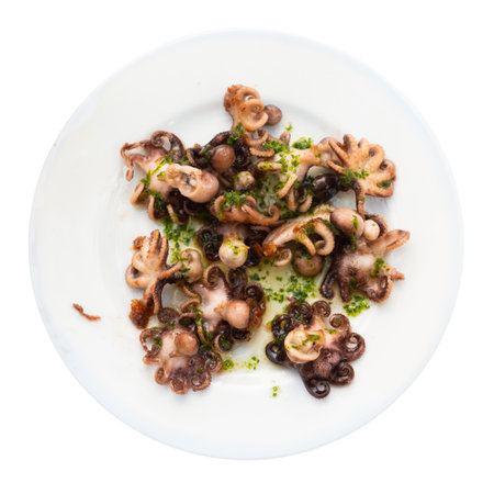 Fried octopus dish with herbs and sauce closeupの写真素材