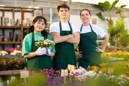 Group of young floriculturists with pot of blooming Iberis in greenhouseの写真素材