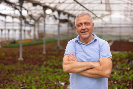 Mature positive man poses next to plantation of young plants in greenhouse. plant-growingの写真素材
