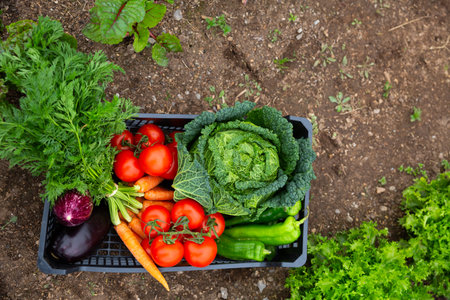 Box with vegetables in kitchen garden
