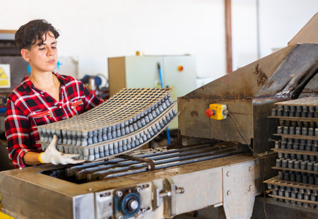 Female worker lays out trays for germinating seeds in washing machineの写真素材