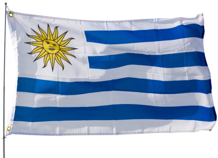 Flag of Uruguay on white backgroundの写真素材
