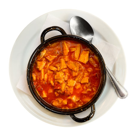 Stewed tripe callos with vegetables, garbanzo and chorizoの写真素材