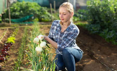 Smiling teen girl horticulturist picking harvest of green onionの写真素材